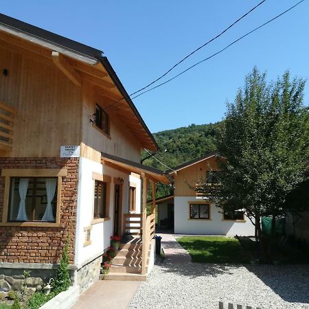 Guest House Carpathia วีเชวเดสซุส ภายนอก รูปภาพ
