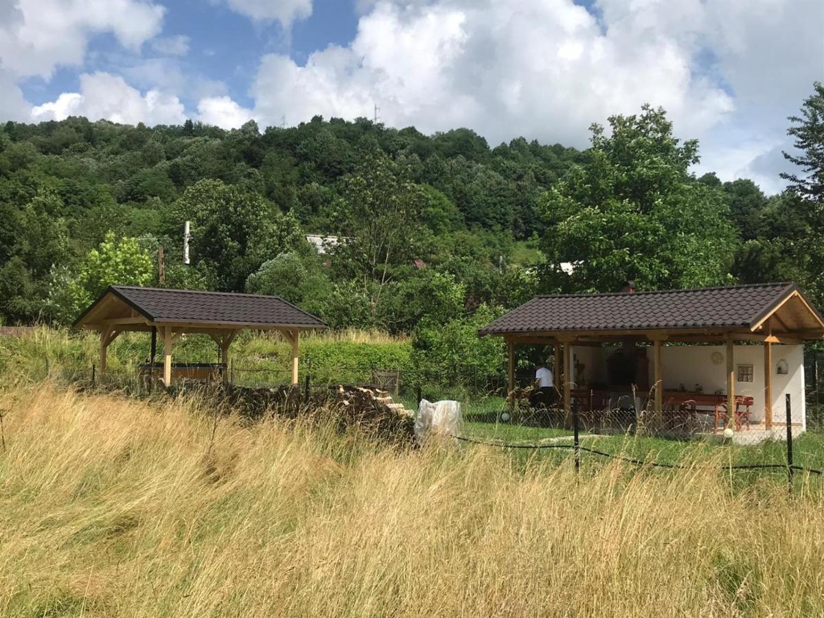 Guest House Carpathia วีเชวเดสซุส ภายนอก รูปภาพ