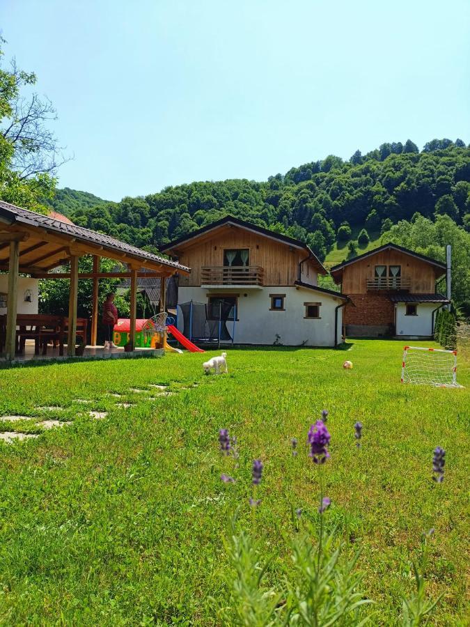 Guest House Carpathia วีเชวเดสซุส ภายนอก รูปภาพ