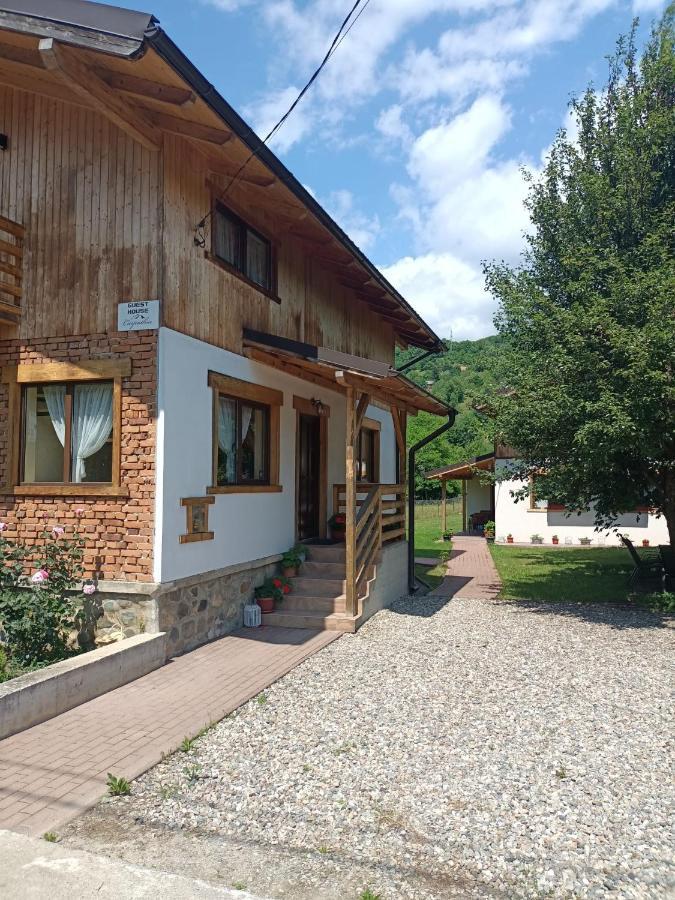 Guest House Carpathia วีเชวเดสซุส ภายนอก รูปภาพ
