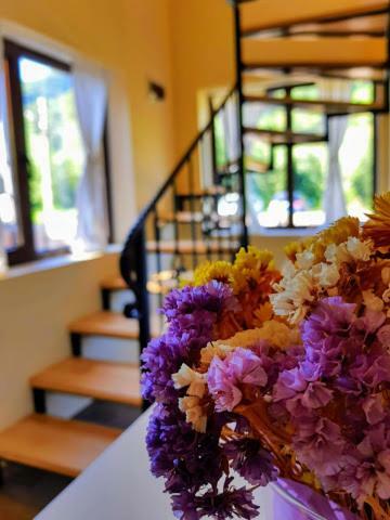 Guest House Carpathia วีเชวเดสซุส ภายนอก รูปภาพ